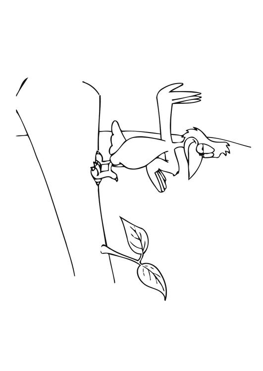 bird