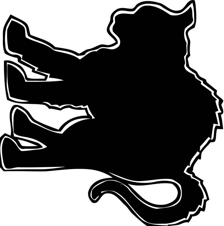 black cat