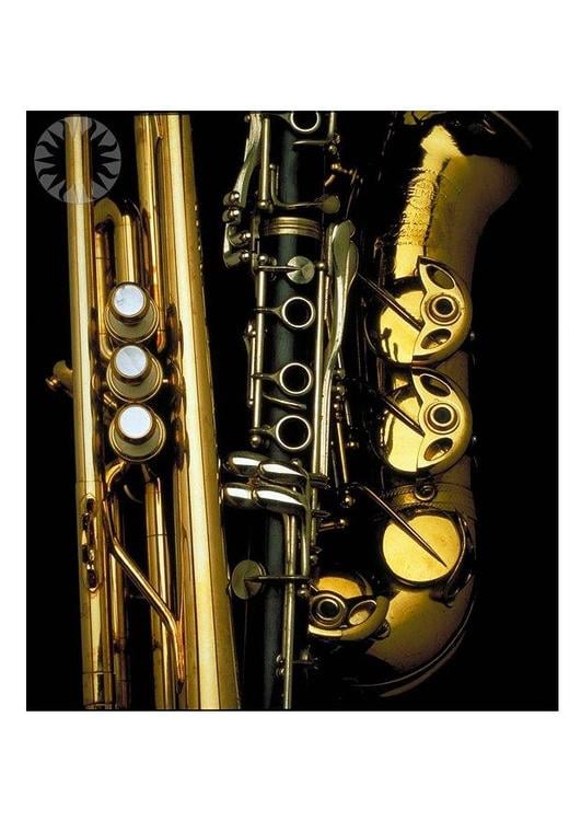 brass and woodwind instruments