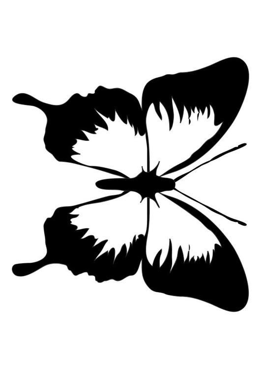 butterfly