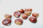 Photos chesnuts