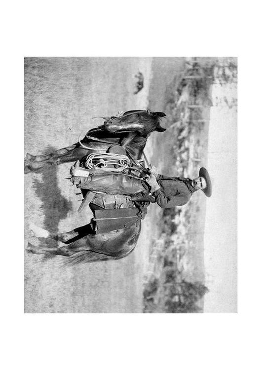 cowboy,around 1887