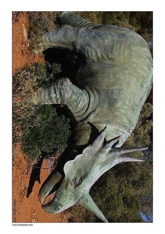 dinosaur