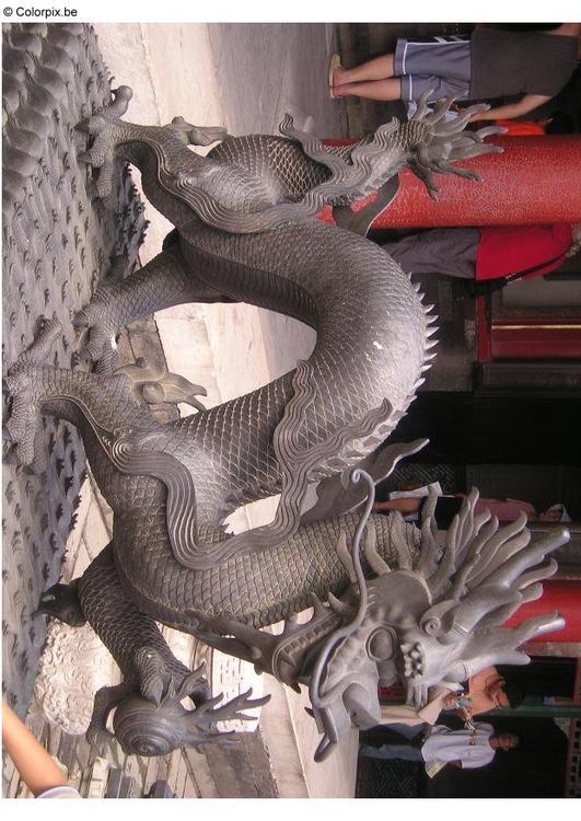 dragon, Forbidden City 2