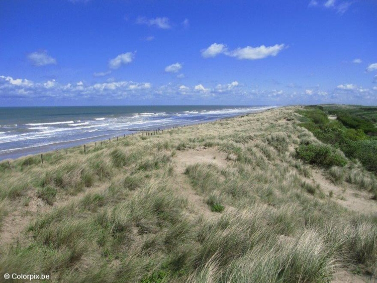 Photo dunes sea coast