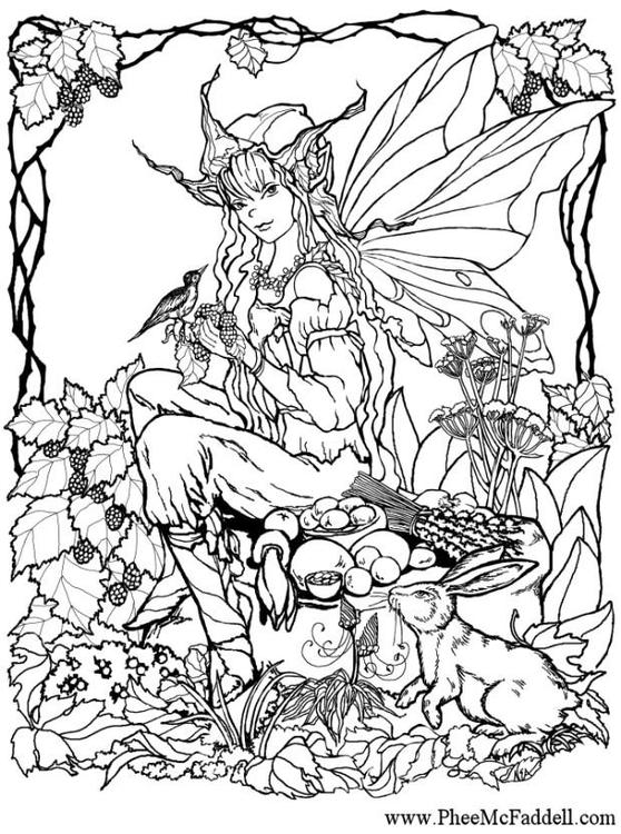 fairyin the woods