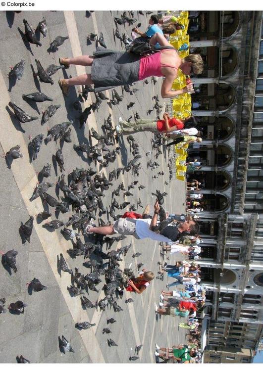 feeding the pigeons at San Marco Square