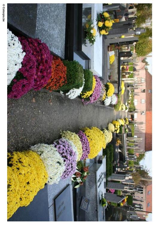 flowers in graveyard