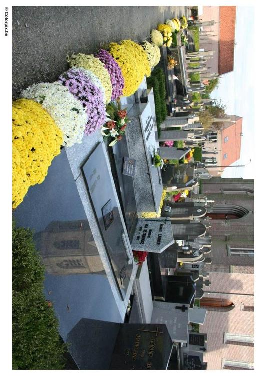 flowers in graveyard