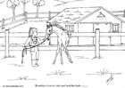 foal