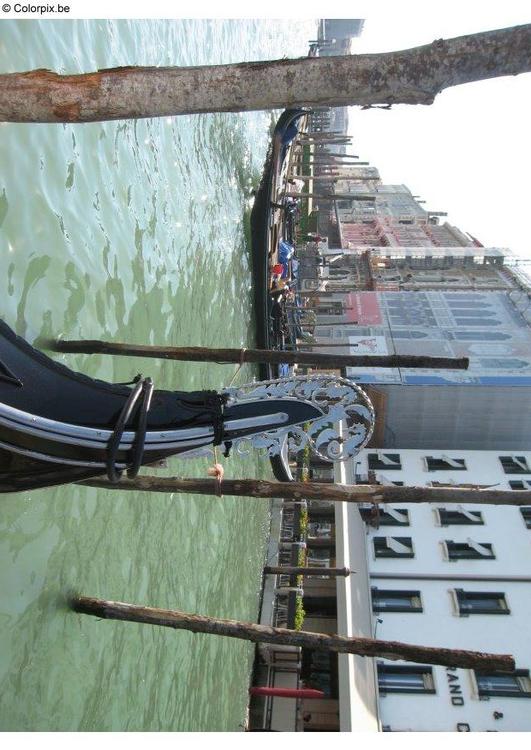 gandala view Venice