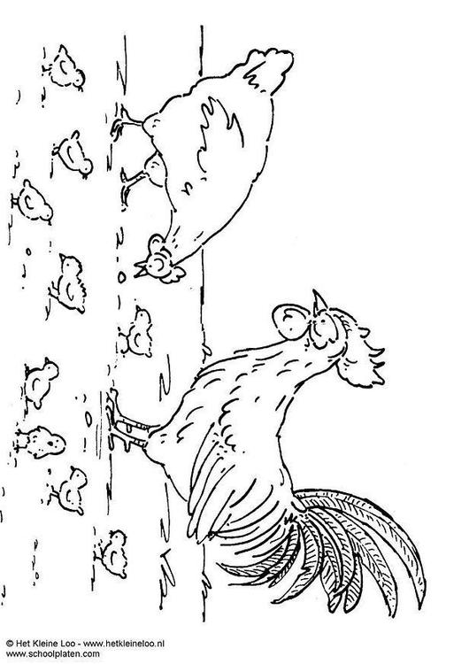 hen, rooster and chicks