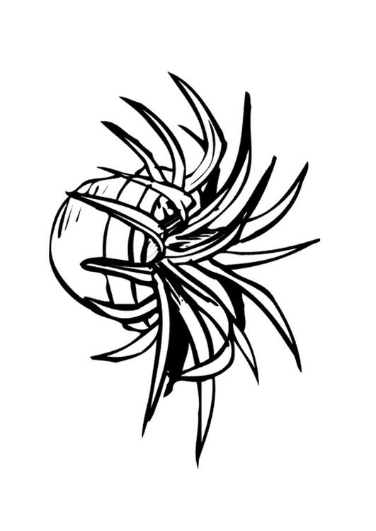 houseplant