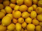 Photos lemons