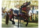 Photos merry-go-round