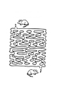mice maze