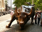 Photos New York - Wall Street bull