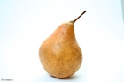 Photos pear