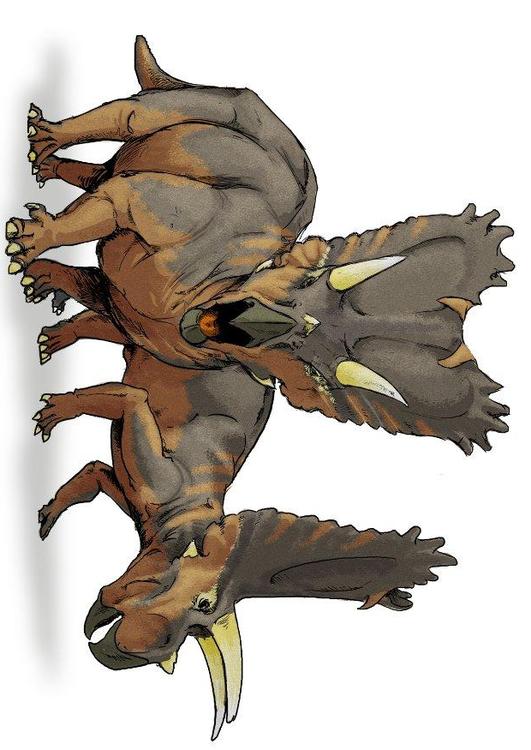Pentaceratops dinosaur