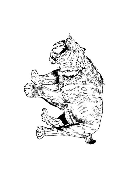 saber tooth tiger