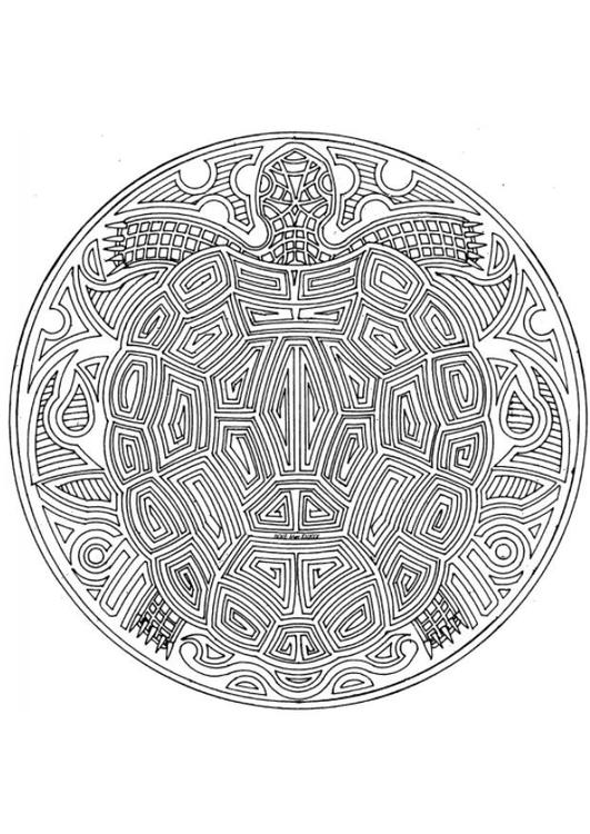 sea turtle mandala