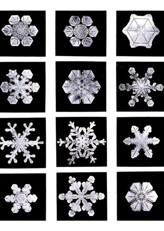 snowflake - ice crystal