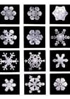 Photos snowflake - ice crystal