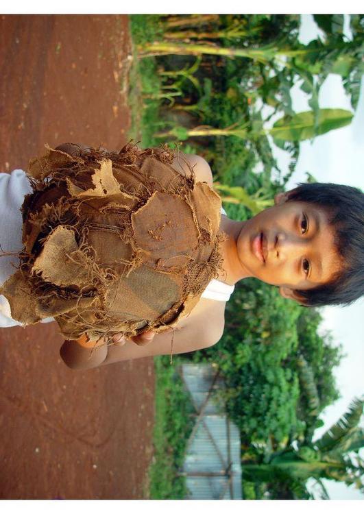 soccer - a tattered football