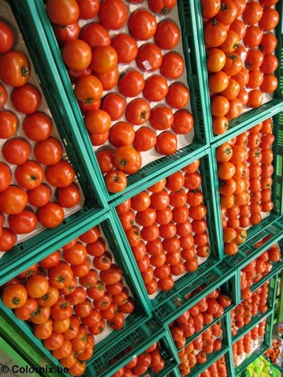 tomatoes