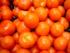 Photos tomatoes