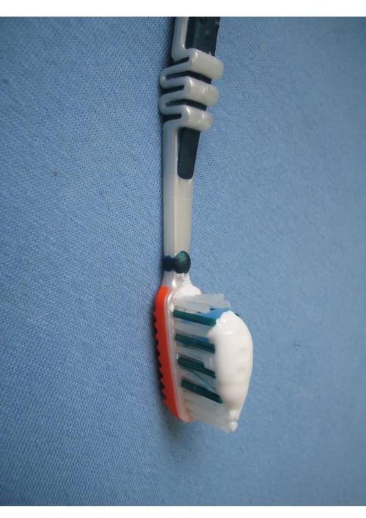 toothbrush and toothpaste. toothbrush with toothpaste