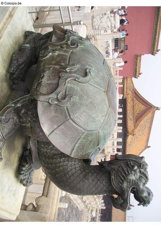 turtle