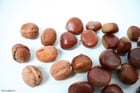 Photos walnuts and chesnuts