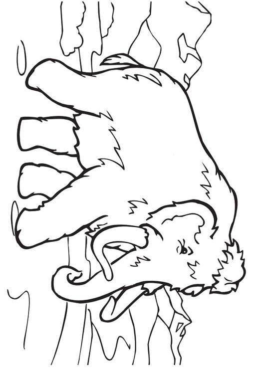 wolly mammoth