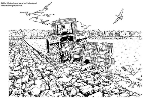 plowing