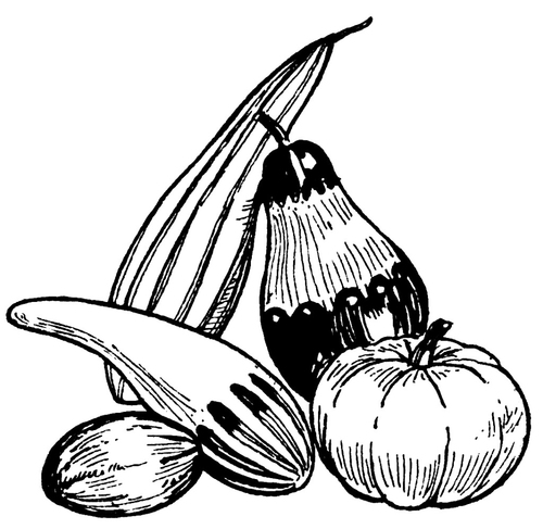 Coloring page pumpkins