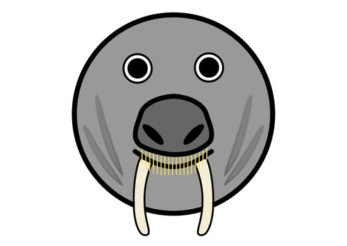 r1- walrus