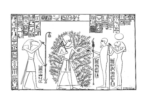Ramses and the tree of life