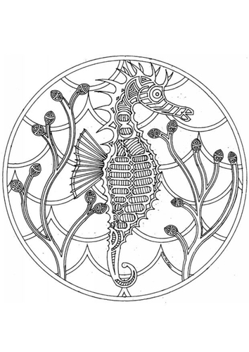 sea horse mandala