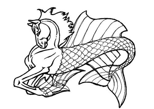sea horse