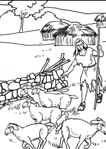 Shepherd
