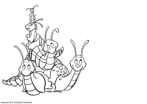 snails and slugs