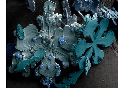 snow crystals under microscope