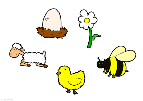 Spring