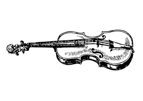 violin