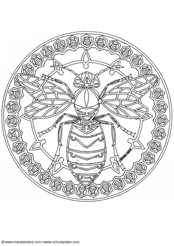 wasp mandala