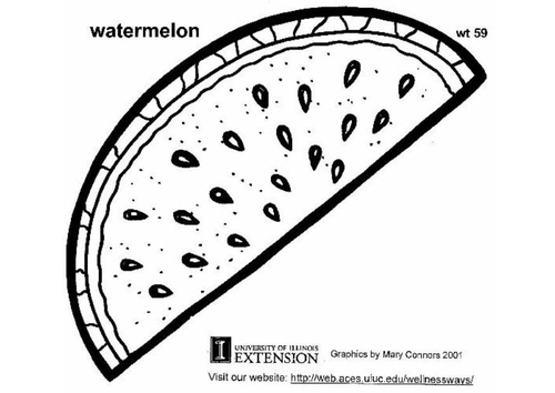 watermelon