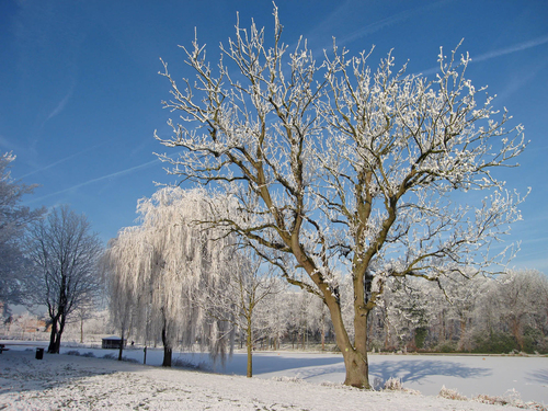 winter 5