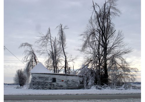 winter