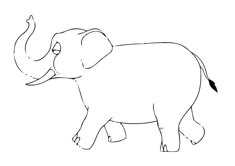 Coloring page 07b. elephant